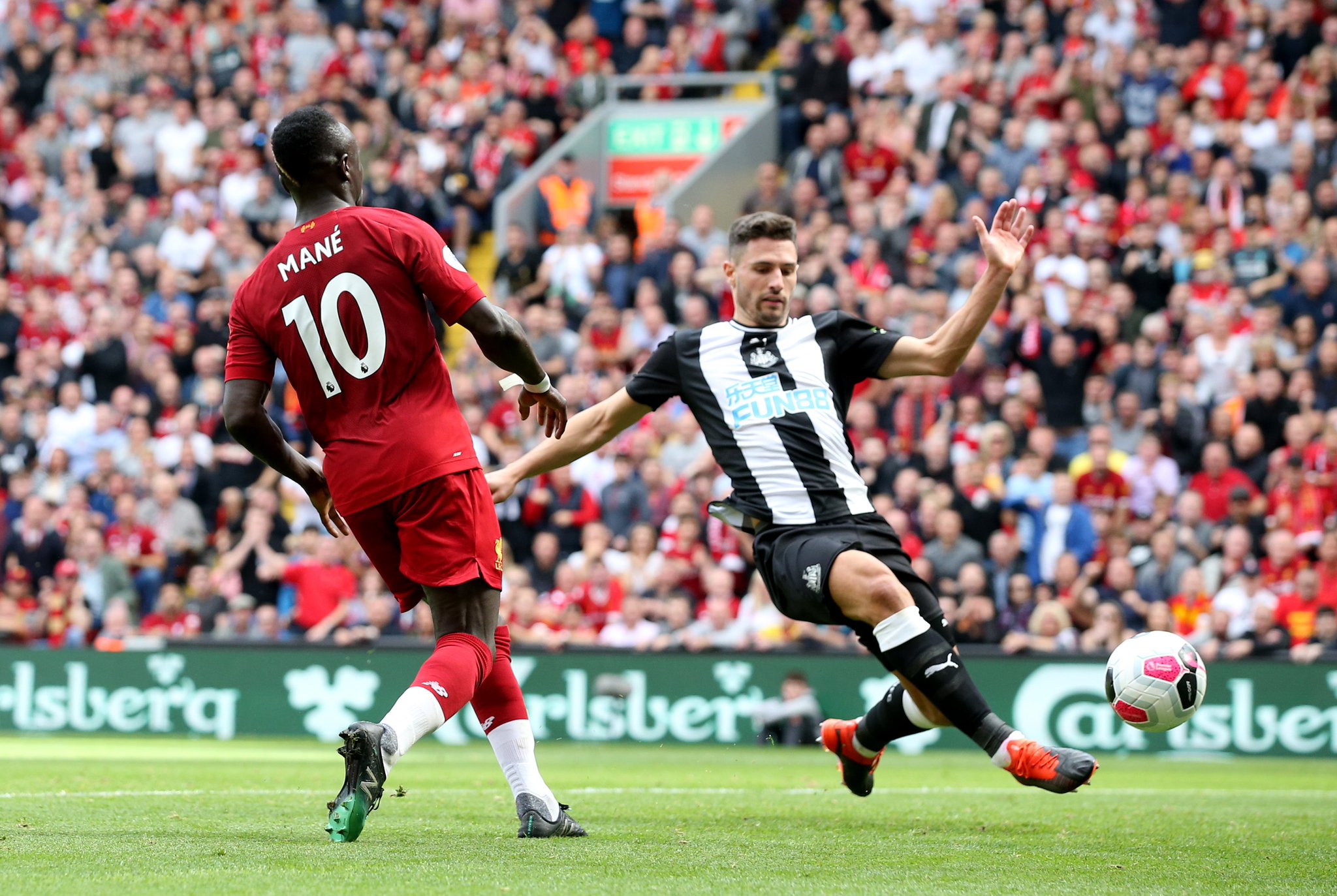 的学科素养 的学科素养